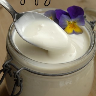 hjemmelavet sojayoghurt