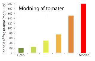 glutamat i tomater
