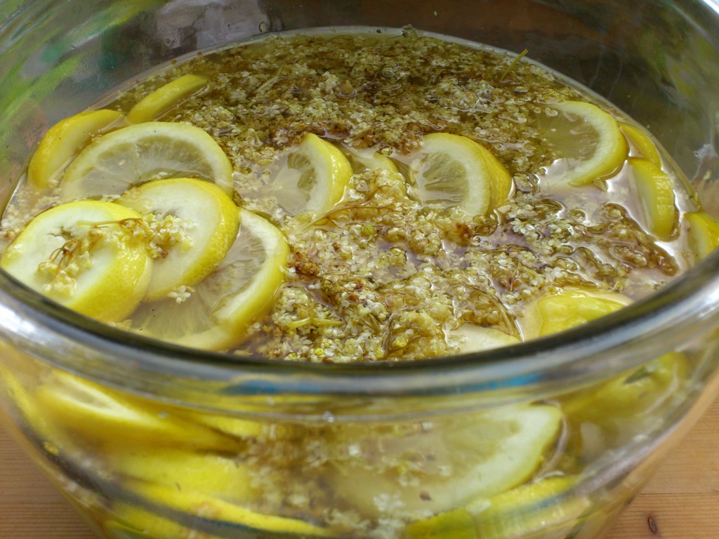 Hyldeblomstsaft trækker