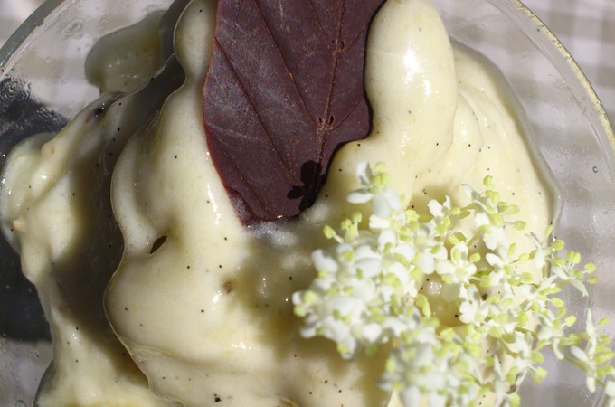 nice cream hyldeblomst