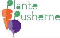 PlantePusherne vegansk catering madblog