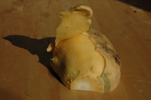 Kålrabi skrælles