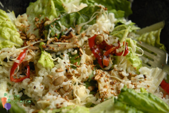 vegansk ris-salat det oppefra med masser af grønt