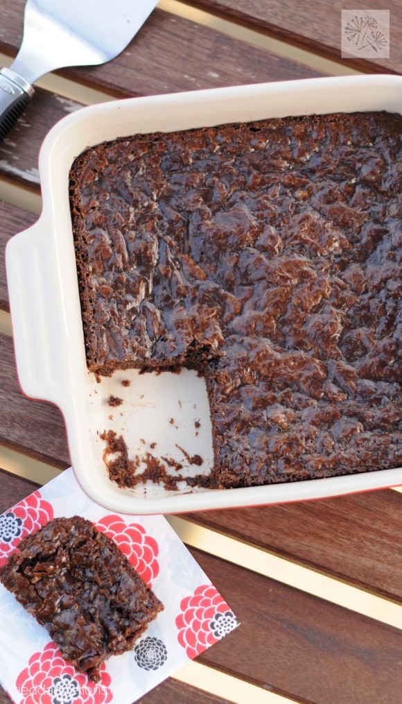 brownies frieddandelions