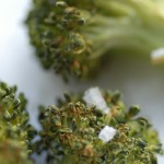 Ovnbagt broccoli