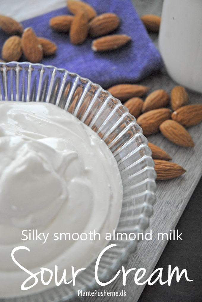 Almond milk sour cream (vegan, dairy free, soy free)