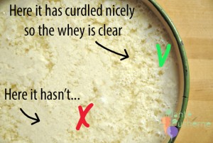 Illustrating how acidic lemon juice will curdle soy milk