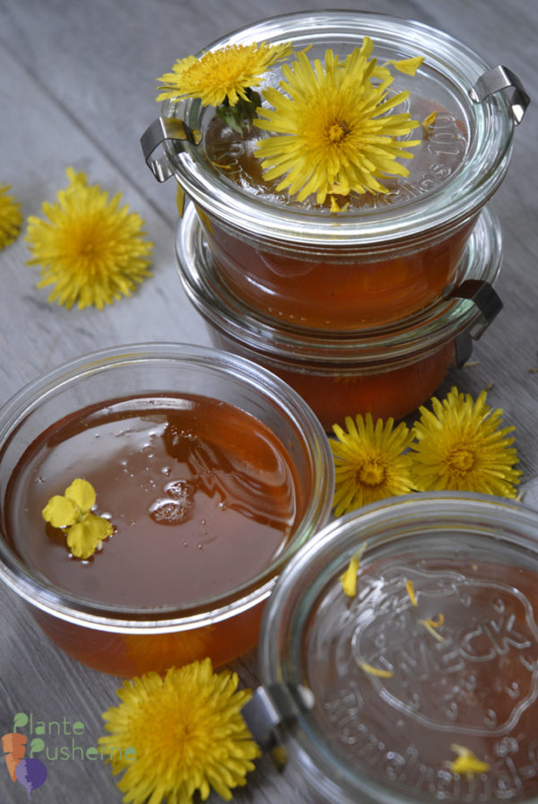 The best vegan dandelion honey that actually tastes like honey