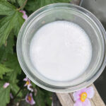 Et glas set oppefra med kridhvid hjemmelavet hampemælk. Omgivelserne er natur, blomster, træ og blade.