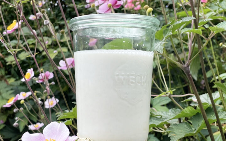 Omgivet af lyserøde blomster og grønne blade ses et stort glas med kridhvid hjemmelavet hampemælk stående på et stykke vejrbidt træ.